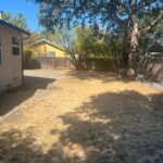 99 First Cleanup Lawn is Dry trees need trimming and removal